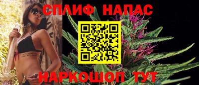 стаф Новодвинск