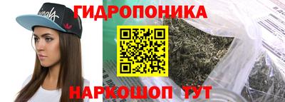 стаф Новодвинск