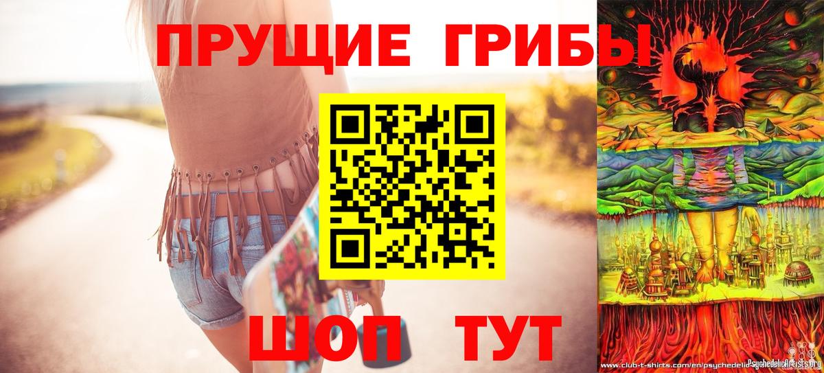 продажа наркотиков  Псилоцибиновые грибы Psilocybe  Вход с VPN  Холмск  Галлюциногенные грибы MAGIC MUSHROOMS 
