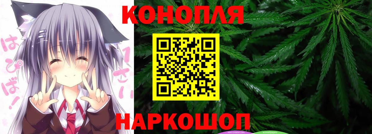 Каннабис планчик  Бошки марихуана MAZAR  Холмск  Канабис VHQ  Бошки марихуана сатива  Вход с VPN 